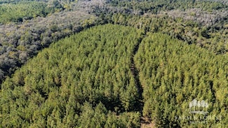 Pates Pond Road (Off), Caryville, FL 32427