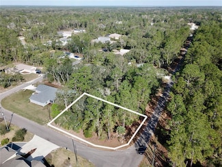 0 Guava Pass, Silver Springs Shores East, FL 32179