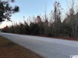 TBD Scottland Rd, Dillon, SC 29536