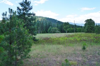 720 Basin Rd, Colville, WA 99114