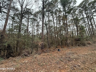 Tbd Soileau Dr, Many, LA 71449
