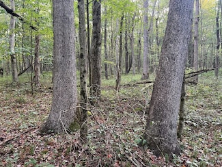 Greenbriar Rd, Ohiopyle, PA 15470