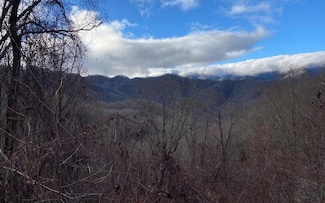 J-1 Georgianna Ln, Bryson City, NC 28713
