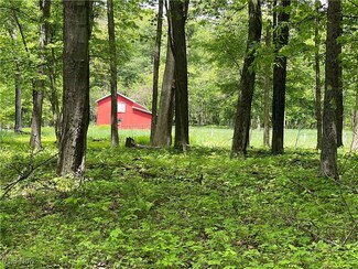 12929 Pleasant Valley Rd, Utica, OH 43080