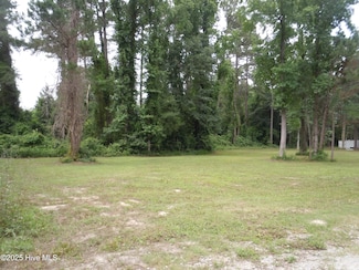 110 Elizabeth St, Tabor City, NC 28463