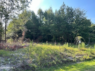 05 Marston Rd, Laurel Hill, NC 28351