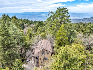 52365 Pine Ridge Rd, Idyllwild, CA 92549