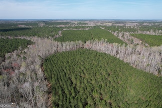 889 Ga Highway 192 N, Twin City, GA 30471