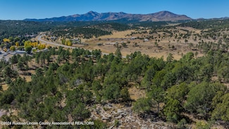Tract 2 Sw4se4, Alto, NM 88312