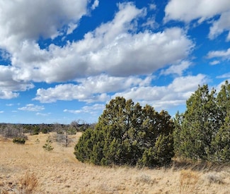 Betty Ln, Pinehill, NM 87357