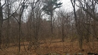 118.5 Old Westboro Rd & 8 Morgan Dr, Grafton, MA 01536