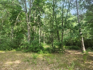 V/L S Riverbend Rd Unit Lot 54, Logan Township, MI 49402