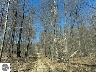 V/L 00 N Turnerville Rd, Lake City, MI 49651