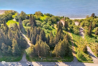 32775 Shorebird Ln, Anchor Point, AK 99556