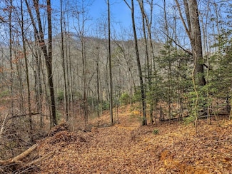 00 Barkers Creek Rd, Whittier, NC 28789