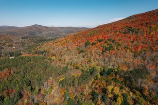 00 Curtis Hollow Rd Unit 3, Woodstock, VT 05091