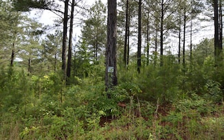 LT 50 Pinehurst Rd, Blairsville, GA 30512