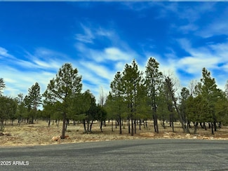 5823 Cripple Creek Unit 259, Blue Ridge, AZ 86024