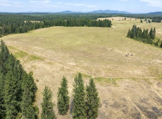 1605 Jasmine Ln, Weippe, ID 83553