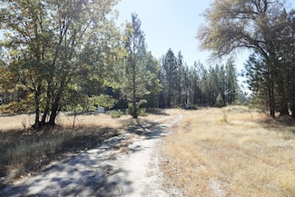 Railroad Flat Rd, Mokelumne Hill, CA 95245