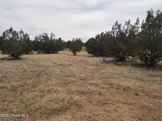 376b&C Haywire Rd, Ash Fork, AZ 86320