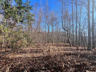 TBD Rocky Ford Rd, Cana, VA 24317