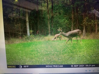 TBD Clearline Rd, Leonard, MN 56652
