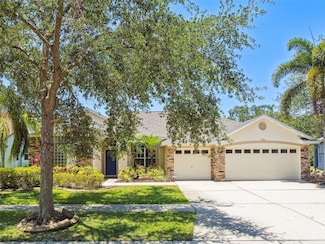 7246 Bucks Ford Dr, Riverview, FL 33578