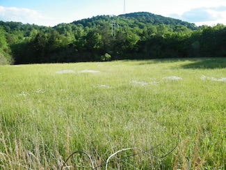 4 Sleepy Hollow Ln, Hartsville, TN 37074