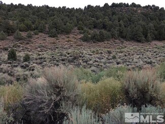 0 Apn 00422127 Unit 230001006, Reno, NV 89521