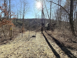 153 W Chenango Rd, Castle Creek, NY 13744