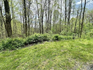1 Deer Creek Trail, Maggie Valley, NC 28751
