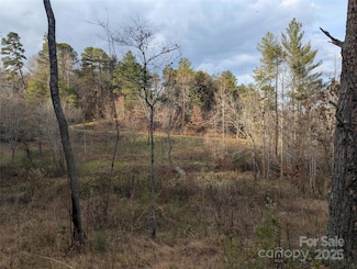 36 Country Cove Ct Unit 6, Leicester, NC 28748