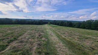 4 Lot Bage Rd, Festus, MO 63028
