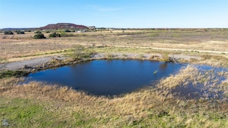 TBD County Road 202, Clyde, TX 79510