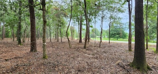 Lot 2 Broussard Rd, Beaumont, TX 77713