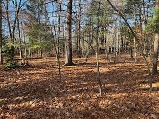 V/L Bedeau St, Montague, MI 49437