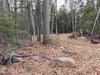 Lot 24 Westwood Dr, Wolfeboro, NH 03894