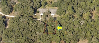 2013 Milton St, Inverness, FL 34452