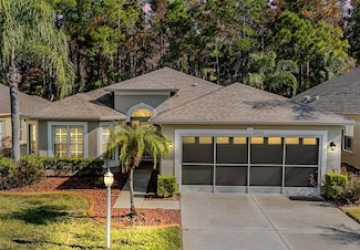 1143 Dustan Place, Trinity, FL 34655