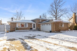 15132 Crescent Green Dr, Oak Forest, IL 60452