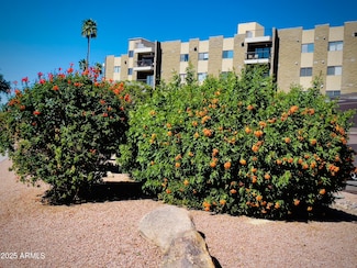 425 S Parkcrest Unit 335, Mesa, AZ 85206