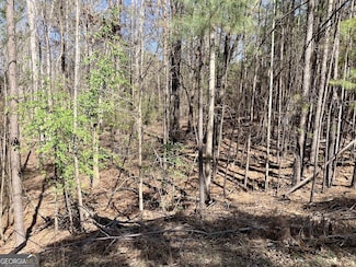 888 Melody Ln, Hartwell, GA 30643