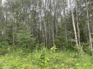 0 W Miller Rd Unit 50168811, Mio, MI 48647