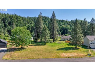 16 Taryn Ct, Whitesalmon, WA 98672