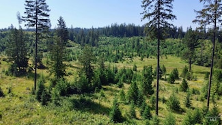 TBD Parcel 7 Peaceful Valley Rd, Kamiah, ID 83536