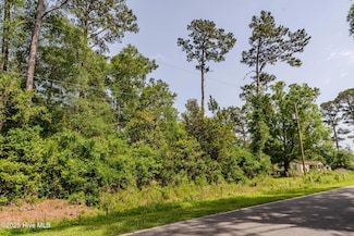 3014 Oakley, Castle Hayne, NC 28429