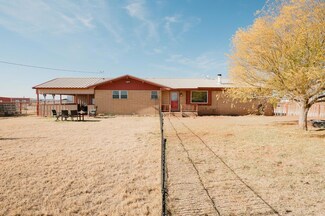 16705 N Hollyhock Ave, Gardendale, TX 79758