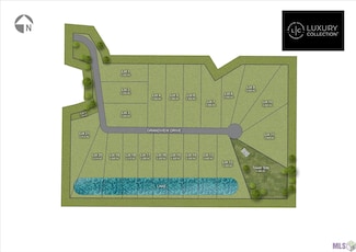Lot 5 Grandview Dr, Denham Springs, LA 70726