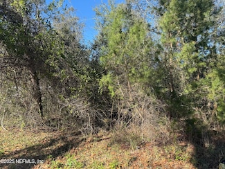 220 Idaho St, Satsuma, FL 32189